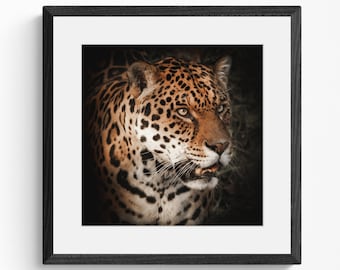 Prowling Jaguar - Photographic Print | Wildlife Photography | Framed Wall Art | Wildlife Print