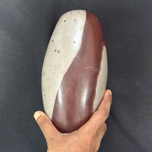 9 Inch Narmada River Shiva Lingam Stone - Spiritual Healing Crystal SL25C9.4
