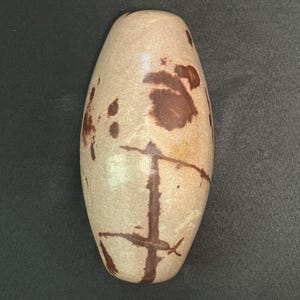 Big 9 Inch Shiva Lingam Natural stone from Narmada River in India SL25C9.8