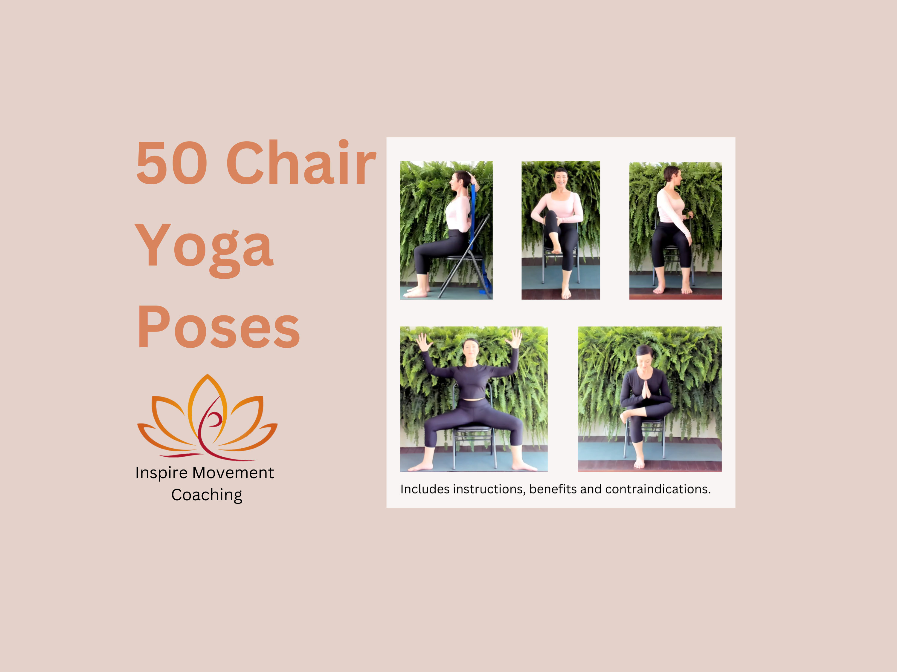 Chair Yoga Dvd for Seniors -  Canada