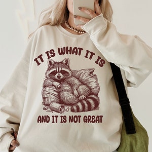 It Is What It Is And It Is Not Great SVG PNG files, Funny Raccoon PNG, Trash Panda Svg, Opossum png, Gifts