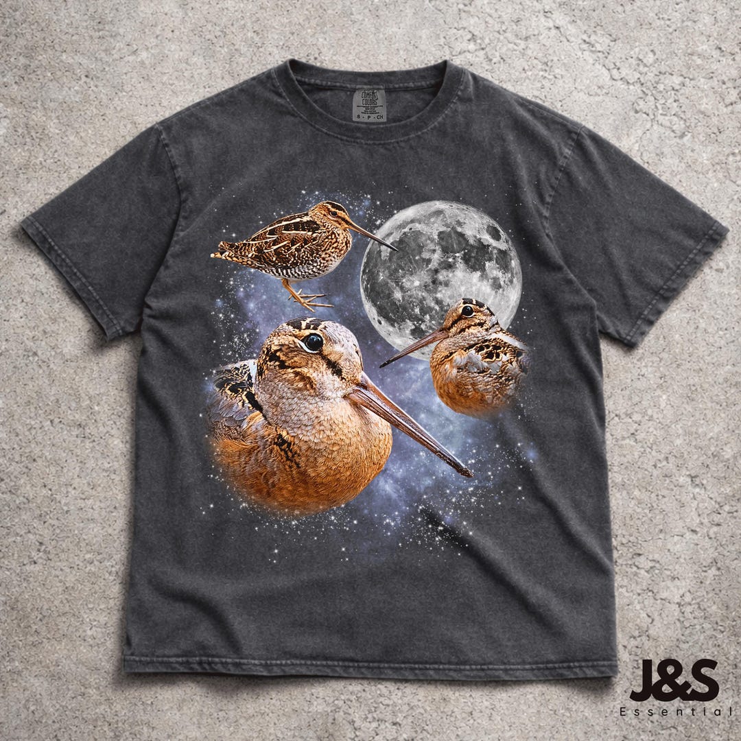 Three Meep Bird American Woodcock Moon Shirt, Vintage Timberdoodle Galaxy Tee, Retro Cosmi