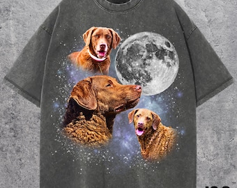 Three Chesapeake Bay Retriever Moon Shirt, Space Dog Lover Tee, Chessie Galaxy Gift, Curly Retriever T-Shirt