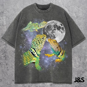 May include: Dark gray t-shirt featuring a graphic of three collared lizards with a full moon and a starry background. The lizards are green, yellow, and blue. The shirt has a crew neck and short sleeves.