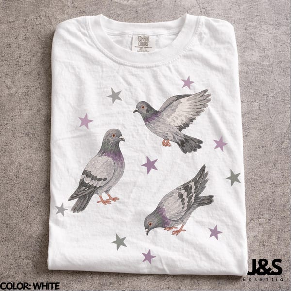 Camiseta vintage dos anos 90 com estampa de pombo, camiseta retrô com estampa de estrela, blusa fofa com estética de pomba-rocha, presente perfeito para amantes de pássaros de rua da Comfort Colors®, estilo urbano artístico dos anos 2000