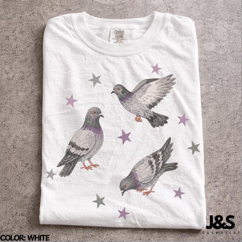 Maglietta vintage anni '90 con piccione, maglietta grafica retrò con stella, top estetico carino con colomba delle rocce, regalo Comfort Colors® per gli amanti degli uccelli di strada, stile artistico Y2K urbano White