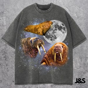 Three Walrus Graphic T-shirts, Vintage Walrus Moon Tshirt, Walrus Shirt, Funny Walrus Tee, Walrus Meme Shirt, Walrus Tee, Walrus Shirt