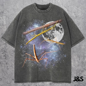 May include: Dark grey t-shirt with a graphic of stick insects, a full moon, and a starry galaxy background. The design includes a brown branch and yellow and brown stick insects. The shirt has a crew neck and short sleeves.