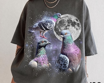 Three Pigeon Retro Graphic T-shirts, Vintage Pigeon Moon Tshirt, Pigeon Lovers, Funny Pigeon Tee, Oversized Washed Tee, Silly Gift, Pigeons