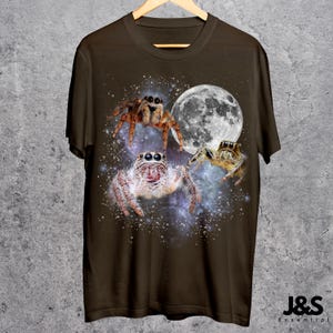May include: Dark brown t-shirt featuring a graphic of three spiders, a full moon, and a starry background. The spiders are in shades of brown, white, and tan. The moon is white and gray. The shirt is hanging on a wooden hanger.