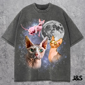 Sphynx katt ...