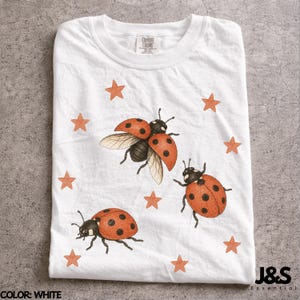 Maglietta vintage anni '90 con coccinella, maglietta grafica retrò con stella, top estetico con coccinella, regalo Comfort Colors® per amanti della natura, coccinella artistica Y2K Cottagecore