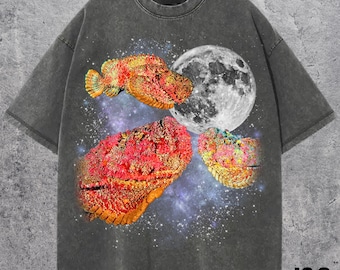 Drei Steinfisch Retro Grafik T-shirts, Vintage Fisch Mond Tshirt, Ozean-Liebhaber, lustiges Fisch T-Shirt, übergroßes gewaschenes T-Shirt, dummes Geschenk, Steinfisch
