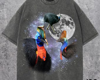 Op de afbeelding: Donkergrijs t-shirt met een afbeelding van drie kleurrijke kasuarissen tegen een sterrenhemel en een volle maan. Het shirt heeft een vintage, gewassen uitstraling. Het merklogo "J&S Essential" staat rechtsonder.