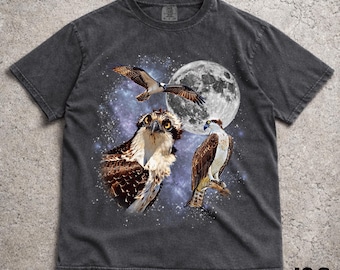 Three Osprey Retro Graphic T-shirts, Vintage Osprey Moon Tshirt, Osprey Lovers, Funny Osprey Tee, Oversized Washed Tee, Silly Gift