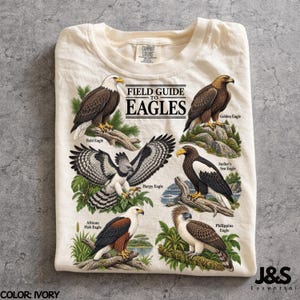 Peut inclure: Un t-shirt ivoire avec une illustration intitulée Field Guide to Eagles. Le motif présente six espèces d'aigles avec leurs noms : Bald Eagle, Golden Eagle, Harpy Eagle, Steller's Sea Eagle, African Fish Eagle et Philippine Eagle, en couleurs.