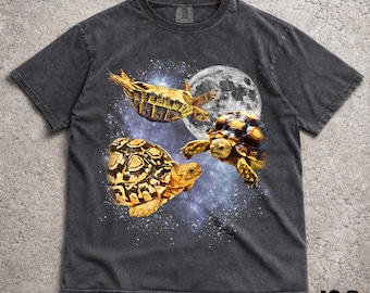 カメのグラフィックTシャツ3枚、ヴィンテージカメムーンTシャツ、カメシャツ、面白いカメTシャツ、カメミームシャツ、カメTシャツ