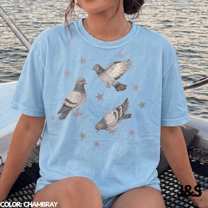 Maglietta vintage anni '90 con piccione, maglietta grafica retrò con stella, top estetico carino con colomba delle rocce, regalo Comfort Colors® per gli amanti degli uccelli di strada, stile artistico Y2K urbano Chambray
