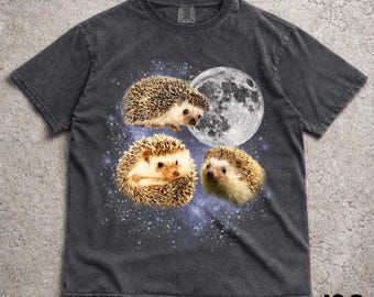 Drei Igel Retro grafische T-Shirts, Weinlese-Igel-Mond-T-Shirt, Igel-Liebhaber, lustiges Igel-T-Stück, übergroßes gewaschenes T-Stück, Igel