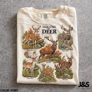 May include: An ivory-coloured t-shirt featuring a graphic titled Field Guide to Deer. The print displays illustrations of five deer species: White-tailed, Mule, Red, Fallow, Sika, and Roe deer, each set within natural foliage and rocky terrain.