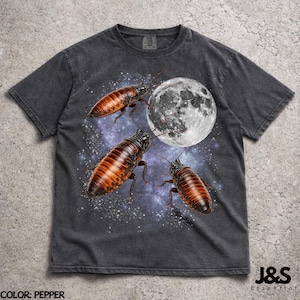 May include: A charcoal gray t-shirt featuring a graphic print of three brown and black cockroaches positioned against a backdrop of a detailed white moon and a purple and blue starry galaxy. The shirt has short sleeves and a crew neckline.