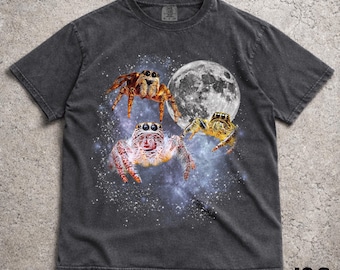 Three Spider Retro Graphic T-shirts, Vintage Halloween Moon Tshirt, Spider Shirt, Funny SpiderTee, Oversized Washed Tee, Jumping Spider Tee