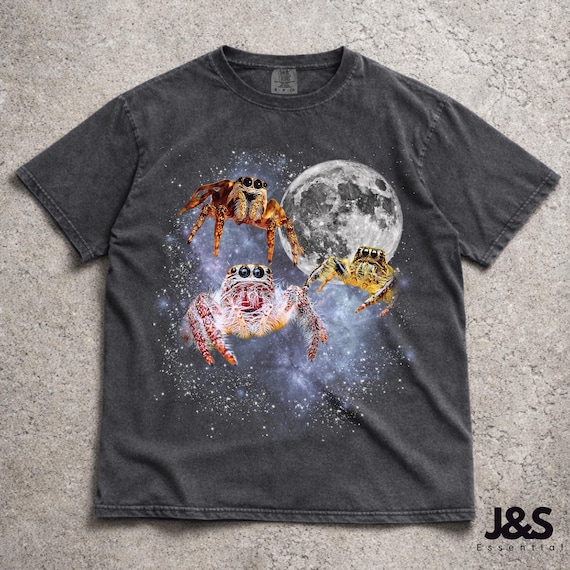 Three Spider Retro Graphic T-shirts, Vintage Halloween Moon Tshirt, Spider Shirt, Funny SpiderTee, Oversized Washed Tee, Jumping Spider Tee