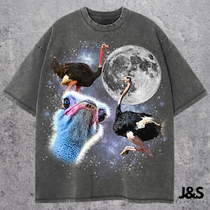 Three Ostrich Graphic T-shirts, Vintage Ostrich Moon Tshirt, Ostrich Shirt, Funny Ostrich Tee, Ostrich Meme Shirt, Ostrich Shirt, Bird Shirt