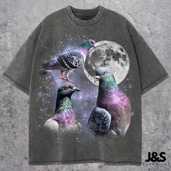 Three Pigeon Retro Graphic T-shirts, Vintage Pigeon Moon Tshirt, Pigeon Lovers, Funny Pigeon Tee, Oversized Washed Tee, Silly Gift, Pigeons