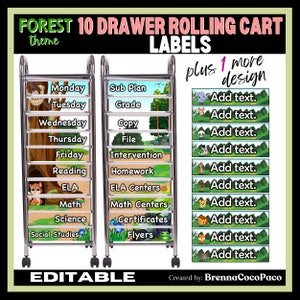 Etykiety na 10 szuflad w stylu New Forest | Etykiety gotowe do druku i edytowalne