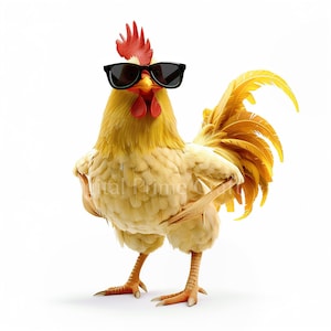 10 imágenes prediseñadas de pollo, imágenes prediseñadas de animales divertidos, archivos jpg de alta calidad, descarga digital, imágenes prediseñadas de acuarela, imprimibles, licencia comercial