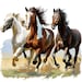 10 Horse Clipart, Running Horse, High Quality Jpgs, Digital Download ...