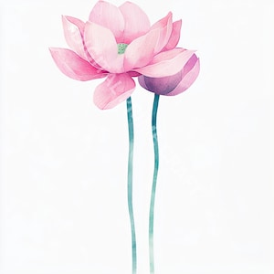 12 Watercolor Lotus Clipart, Flower Clipart, High Quality jpgs, Digital Download, Printables, Clipart Bundle, Commercial License