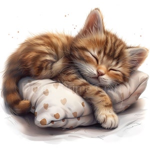 15 Kitten Clipart, Sleeping Cat Clipart, High quality JPG files, Watercolor Clipart, Digital Download, Cat Images, Commercial License