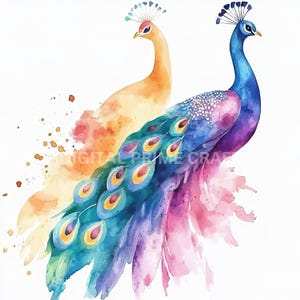 11 Peacock Clipart, Beautiful Bird Clipart, High Quality jpgs, Digital Download, Watercolor Clipart, Printables, Commercial License