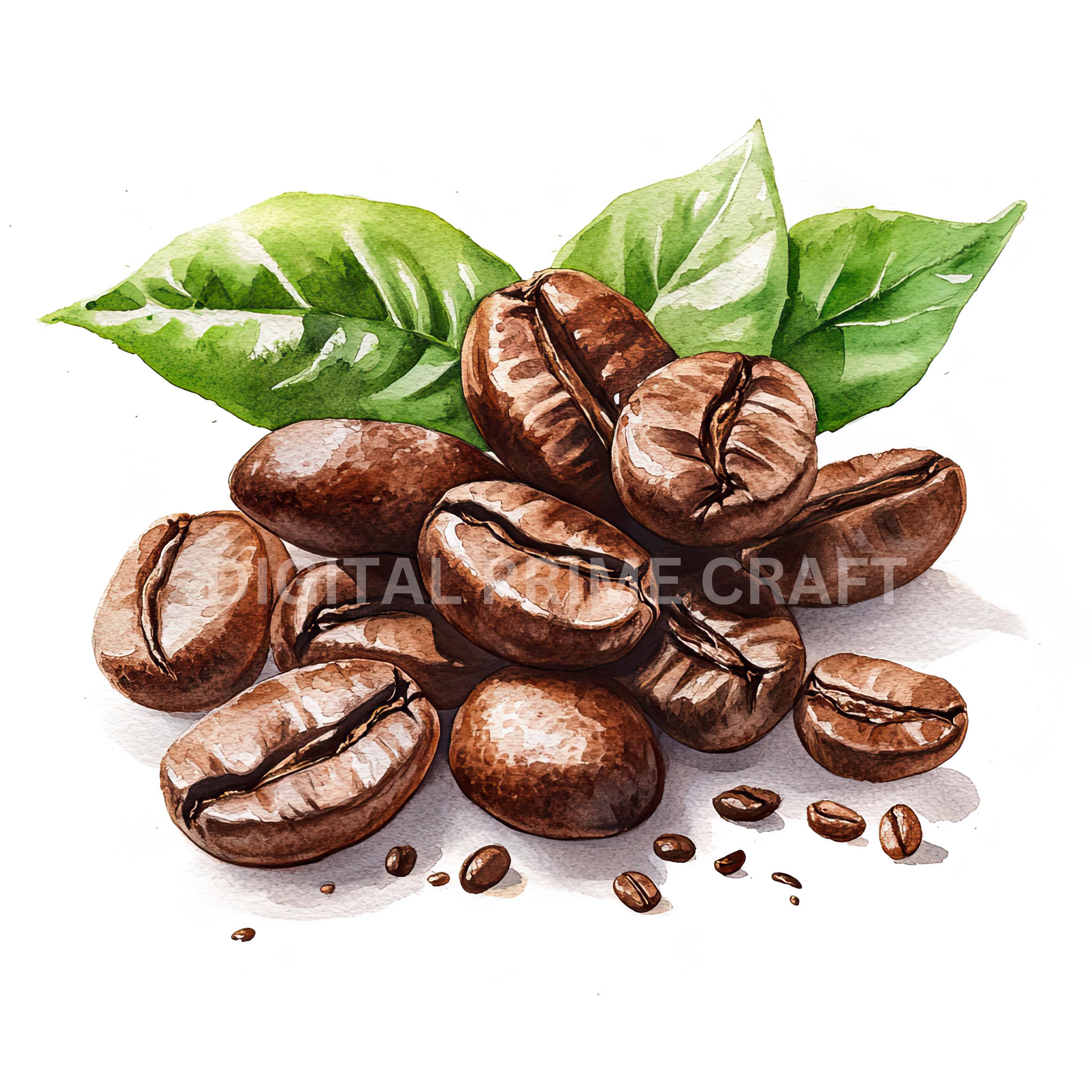 11 Kaffeebohnen Clipart, Kaffee Clipart, Kaffeebohnen In einer Tasche,  hochwertige JPGs, digitaler Download, Printables, kommerzielle Lizenz -  Etsy Schweiz, image size:3000x3000