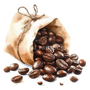 May include: A brown paper bag tied with twine, spilling out roasted coffee beans. The beans are dark brown and have a glossy finish.