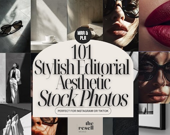 101 Editorial Aesthetic Stock Photos Bundle | Google Drive + PNG Download | Stylish Dark Stock Images | MRR + PLR Included