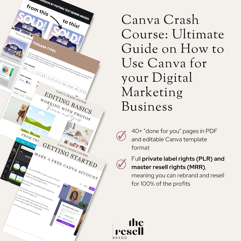 Canva Crash Guide Ultimate Guide for Digital Marketing Ebook Done for ...