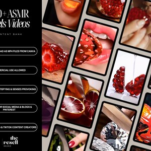May include: A collection of ASMR Reels Videos, featuring close-up shots of food and textures. The image includes strawberries, pomegranates, and other fruits. Text on the left side reads "340+ ASMR Reels Videos" and "Content Bank".