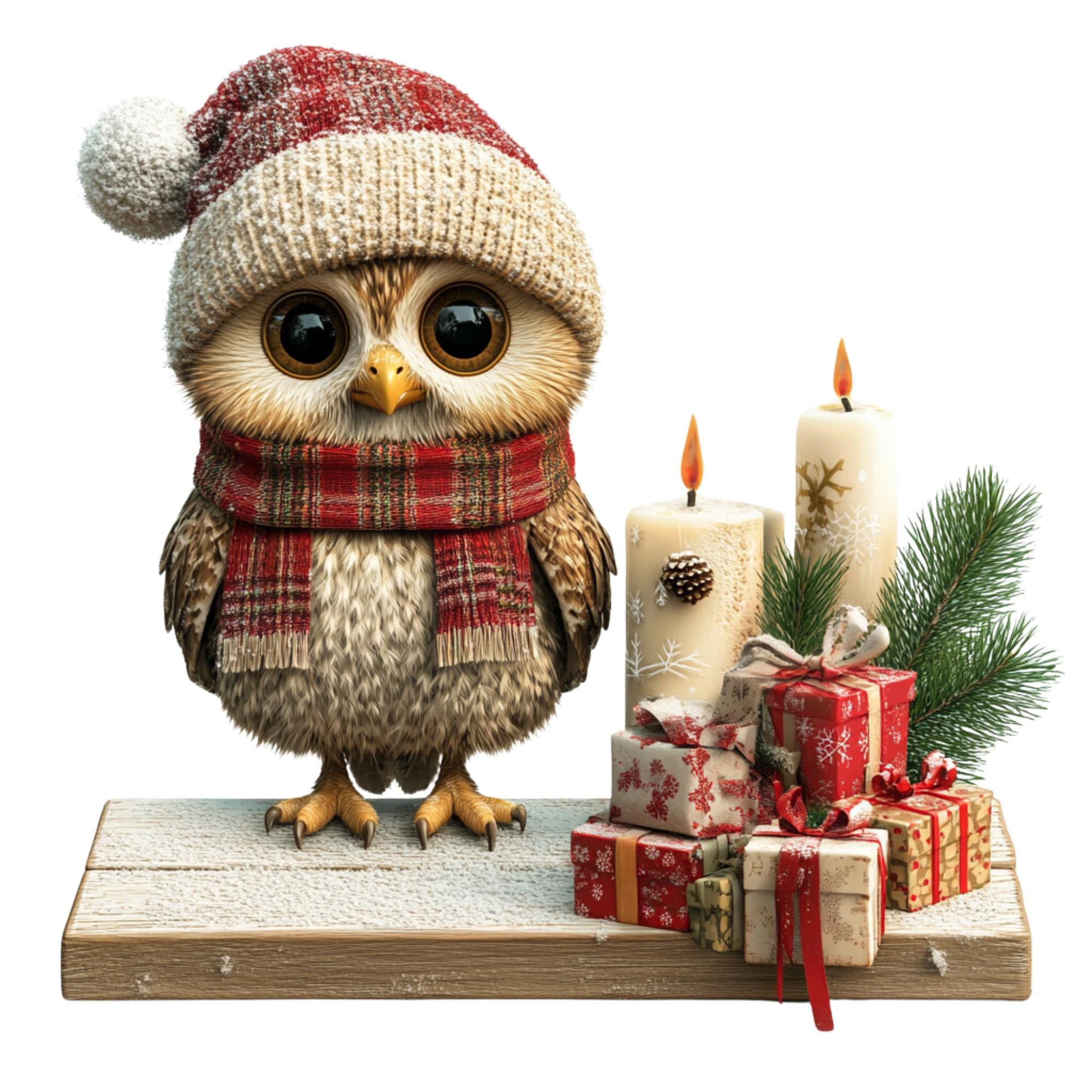 Christmas Owl Clipart: Festive Holiday Designs (PNG, JPG)