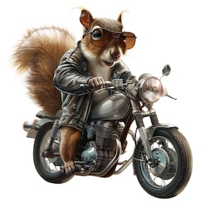 Animal on Bike Watercolor Clipart: PNG, JPJ Files (Digital Download)