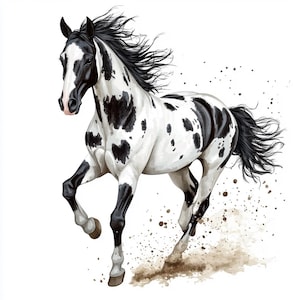 6 Horses Animal Watercolor Clipart Printable PNG,JPJ Digital Download Commercial Use Sublimation Art Image Bundle walart, gifts file