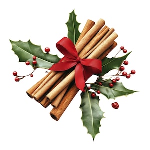 Christmas Cinnamon Clipart: Holiday Spice PNG Graphics (Digital Download)