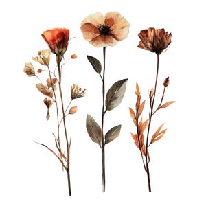 Watercolor Autumn Flower Clipart: Fall Bouquet Graphics (PNG, JPG)