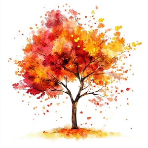 7 Watercolor forest Tree clipart High Quality PNG,JPG  Digital Download, Watercolor Trees, Tree Illustration, Tree clipart, Clipart file