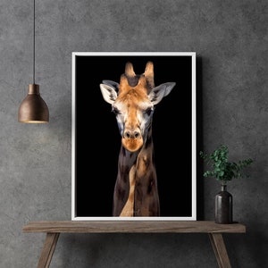 Giraffe Art, Giraffe Wall Art, Fine Art Photography, Giraffe Print