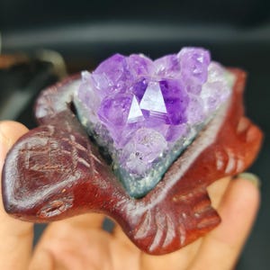 May include: A purple amethyst crystal cluster in a carved wooden turtle figurine.