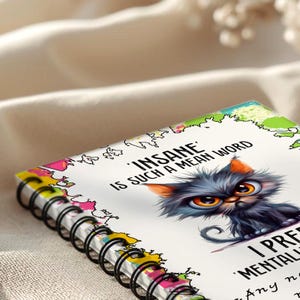 K&ouml;nnte beinhalten: Spiralgebundenes Notizbuch mit farbenfrohem Rand und dem Text "INSANE IS SUCH A MEAN WORD". Das Cover zeigt eine Cartoon-Katze mit gro&szlig;en Augen. Die Bindung des Notizbuchs ist schwarz.