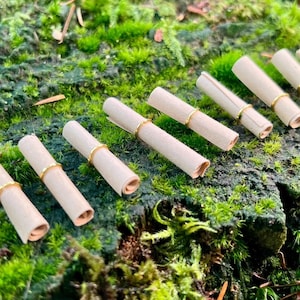 May include: A row of small, rolled-up pieces of paper tied with gold wire, lying on a bed of green moss.